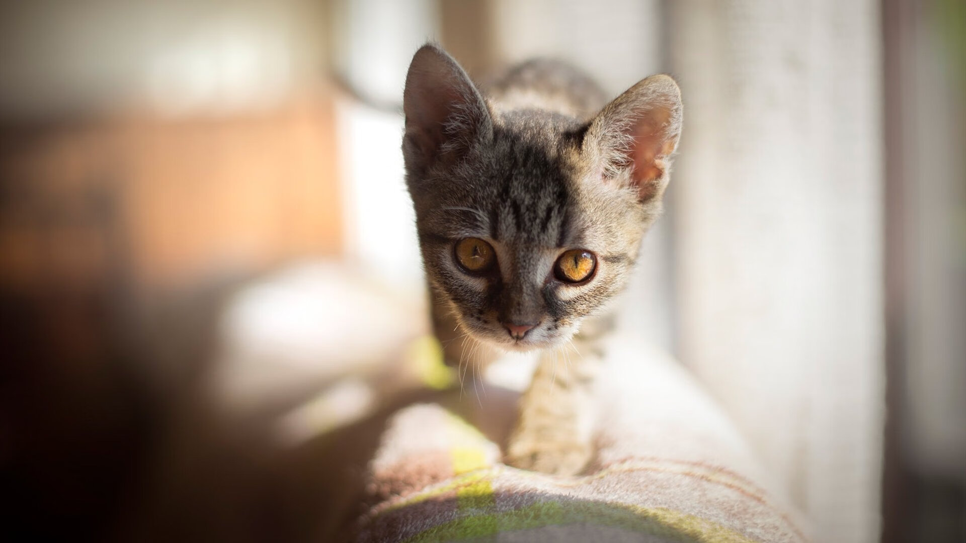 九游下载安装-《2025年全球电竞市场规模预测：直逼百亿美元大关》，2020电竞市场规模